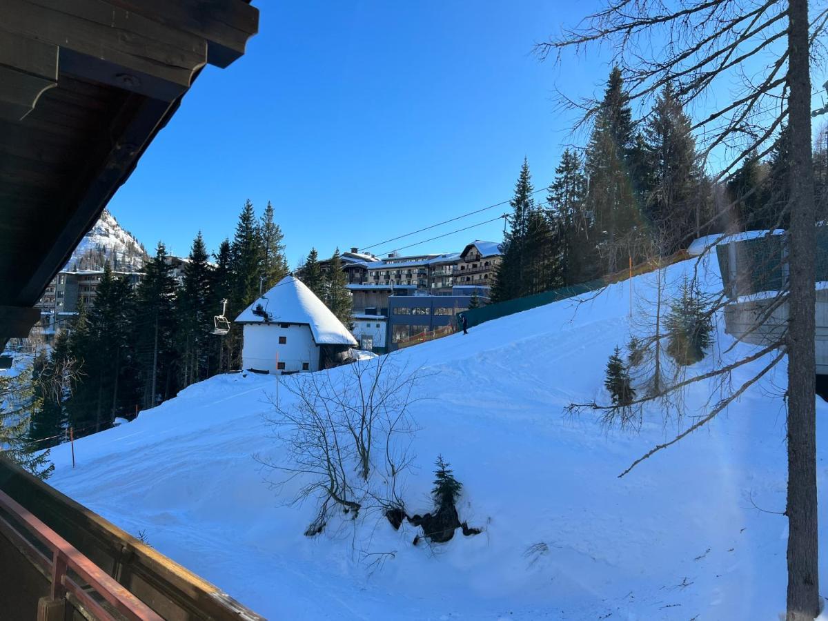 索内纳尔佩·纳斯费尔德Haus Alpina公寓 外观 照片